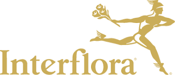 Interflora Coupons & Promo Codes