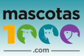 Mascotas1000 Coupons & Promo Codes