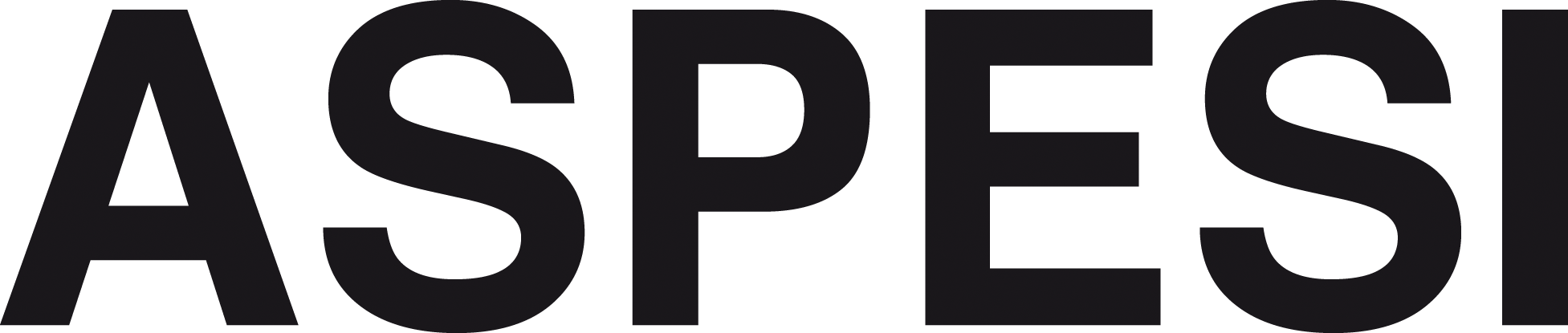 ASPESI Coupons & Promo Codes