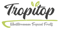 Tropitop Coupons & Promo Codes