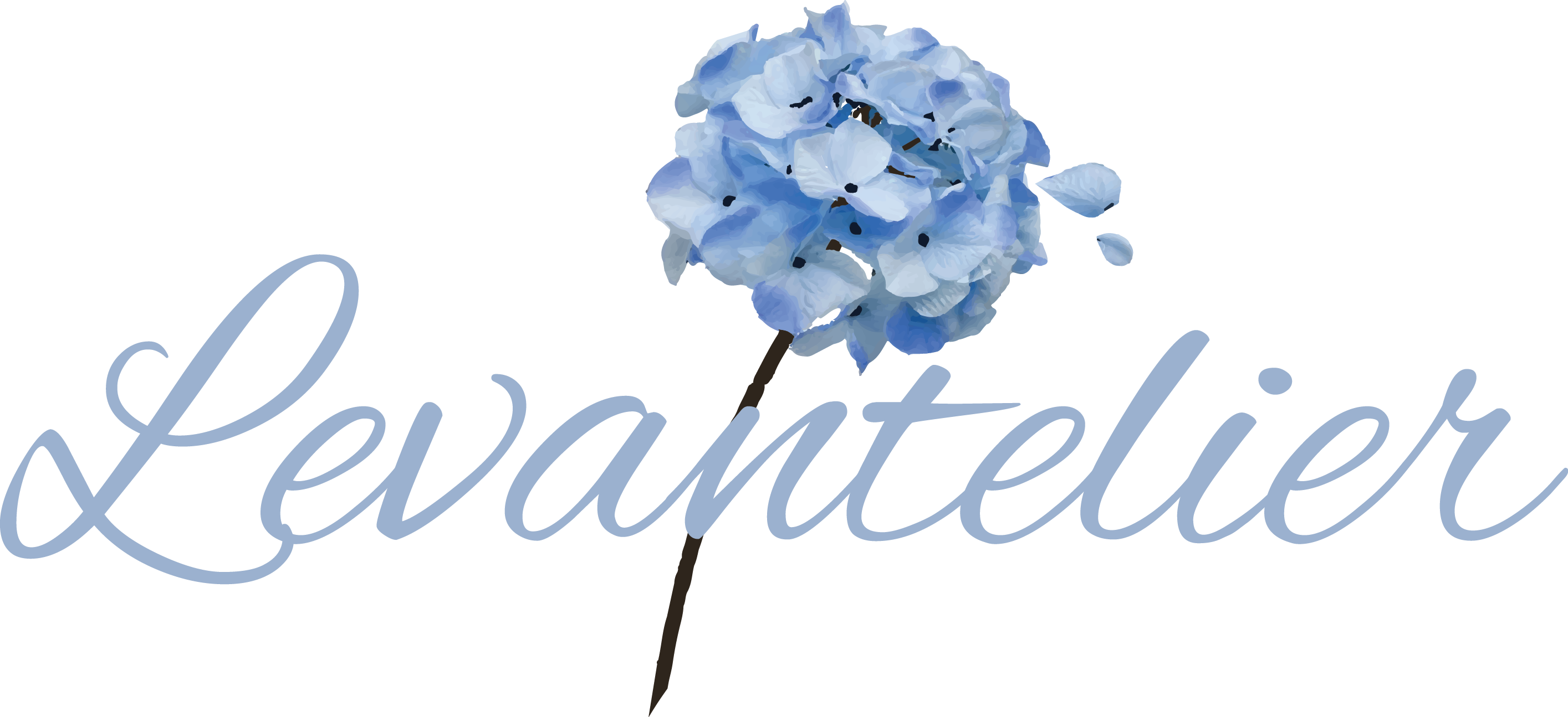 Levantelier Coupons & Promo Codes