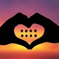 PADELLOVERS Coupons & Promo Codes