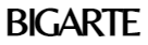 BIGARTE Coupons & Promo Codes